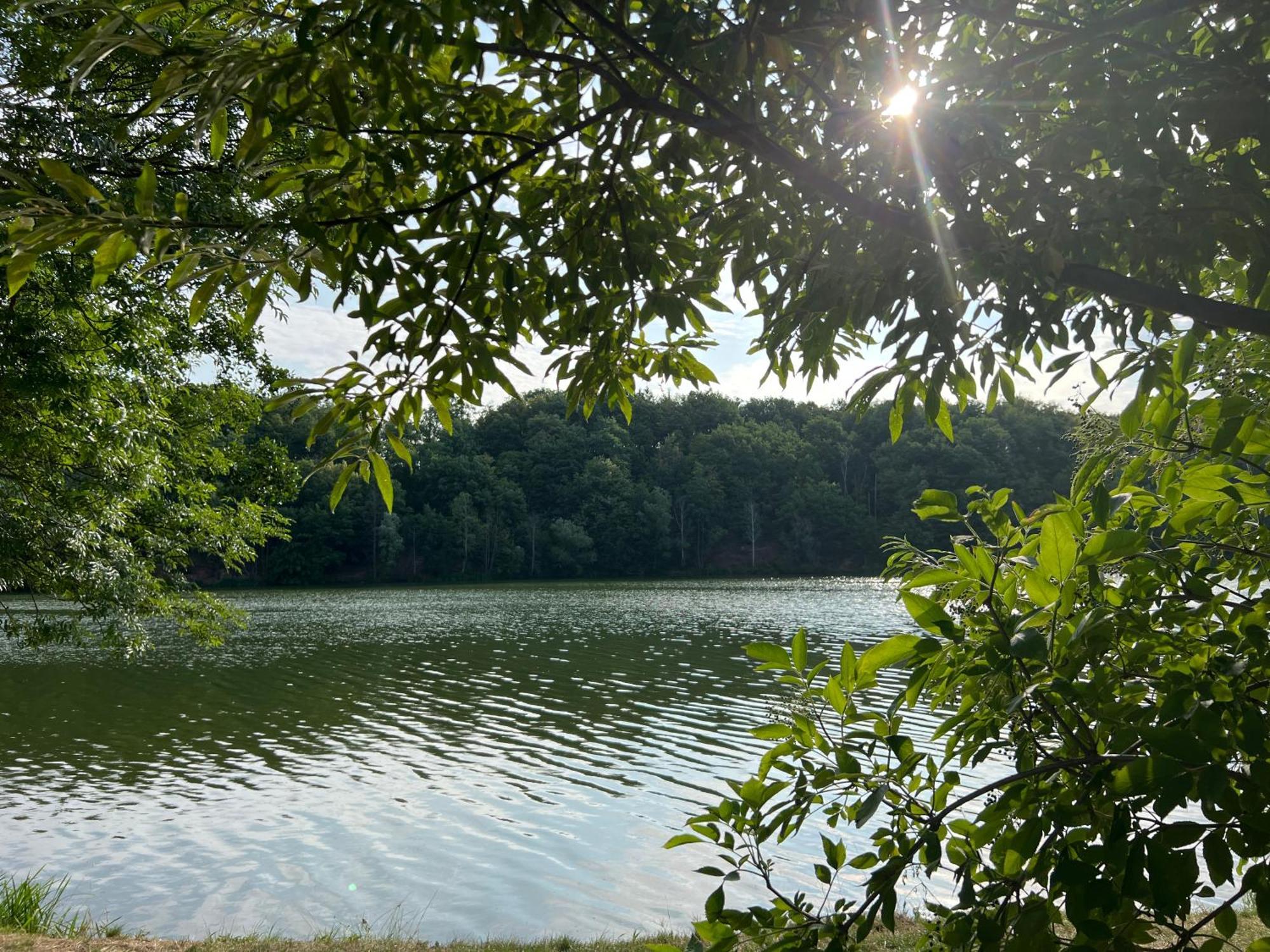 Ferienwohnungen Brenner Einchecken Und Wohlfuehlen Langenbernsdorf Exterior photo